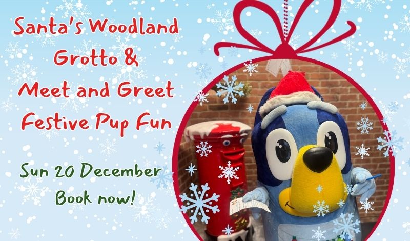 Meet and Greet Festive Pup Fun article image